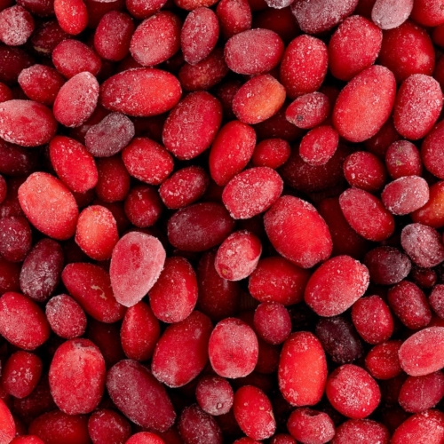 Fotografia produktowa - dereń