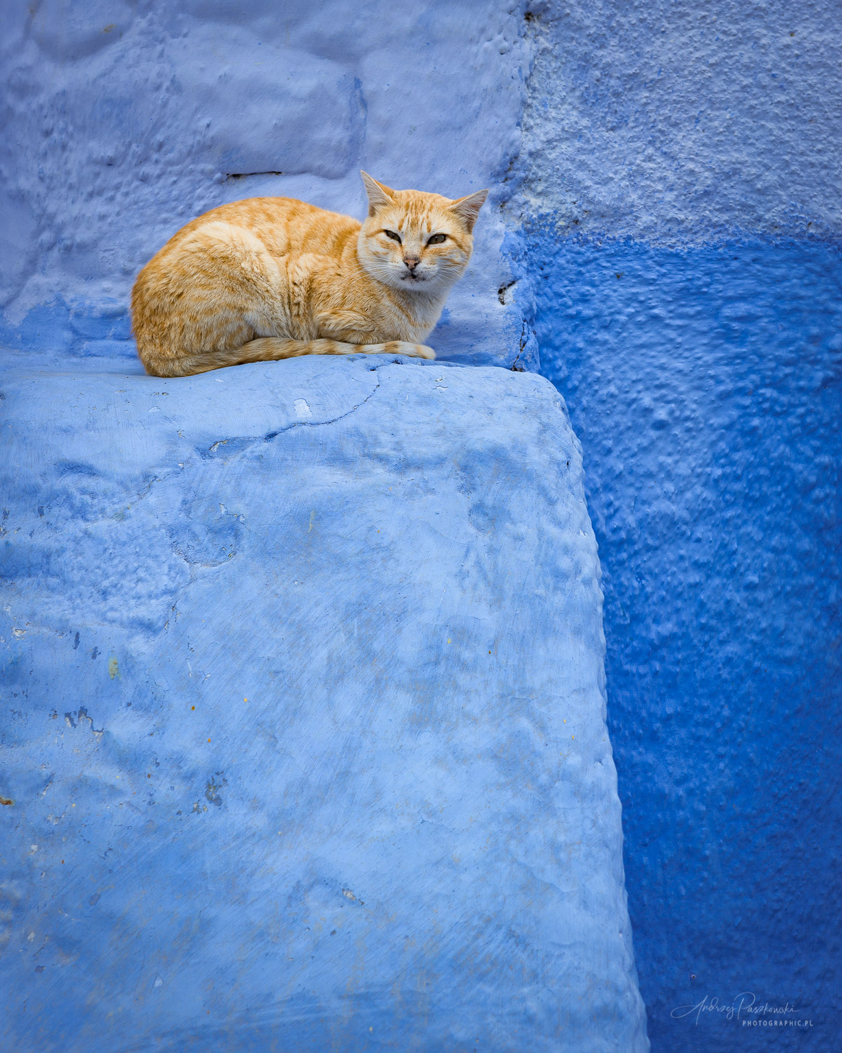 fotografia podróżnicza Maroko