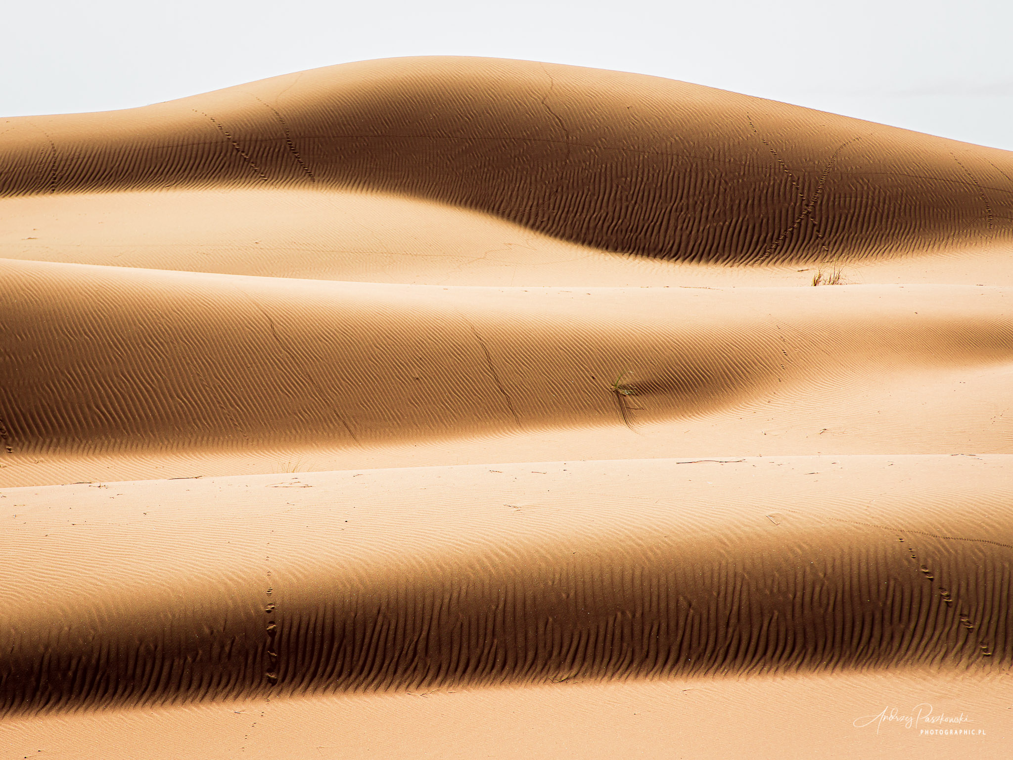 fotografia podróżnicza Maroko pustynia