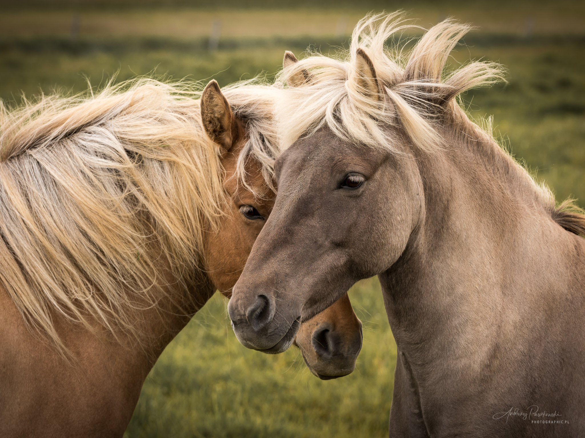 fotografia krajobrazowa Grenlandia