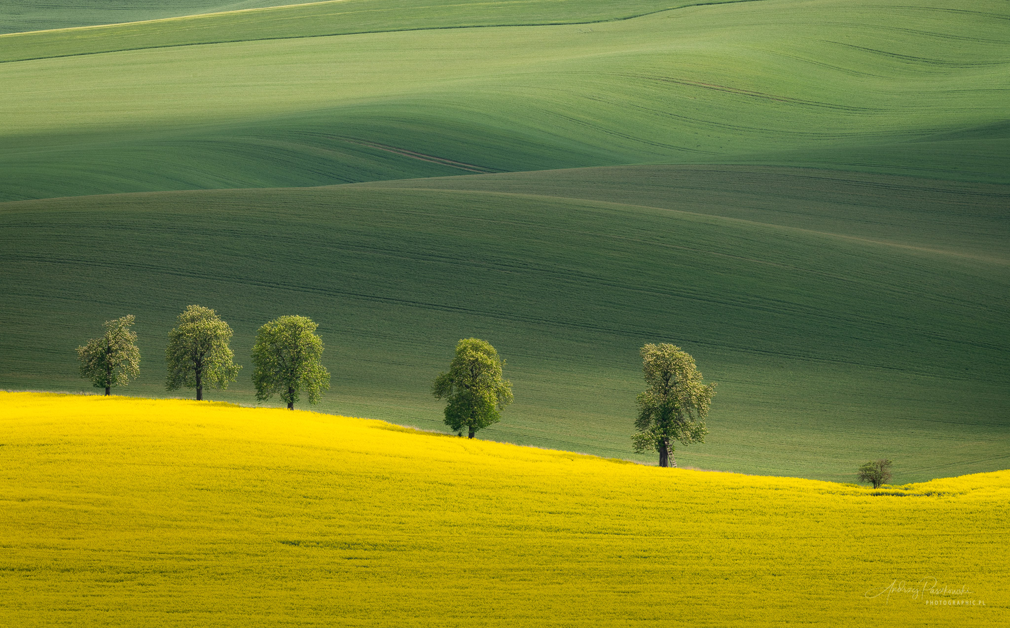 Fotografia krajobrazowa Morawy