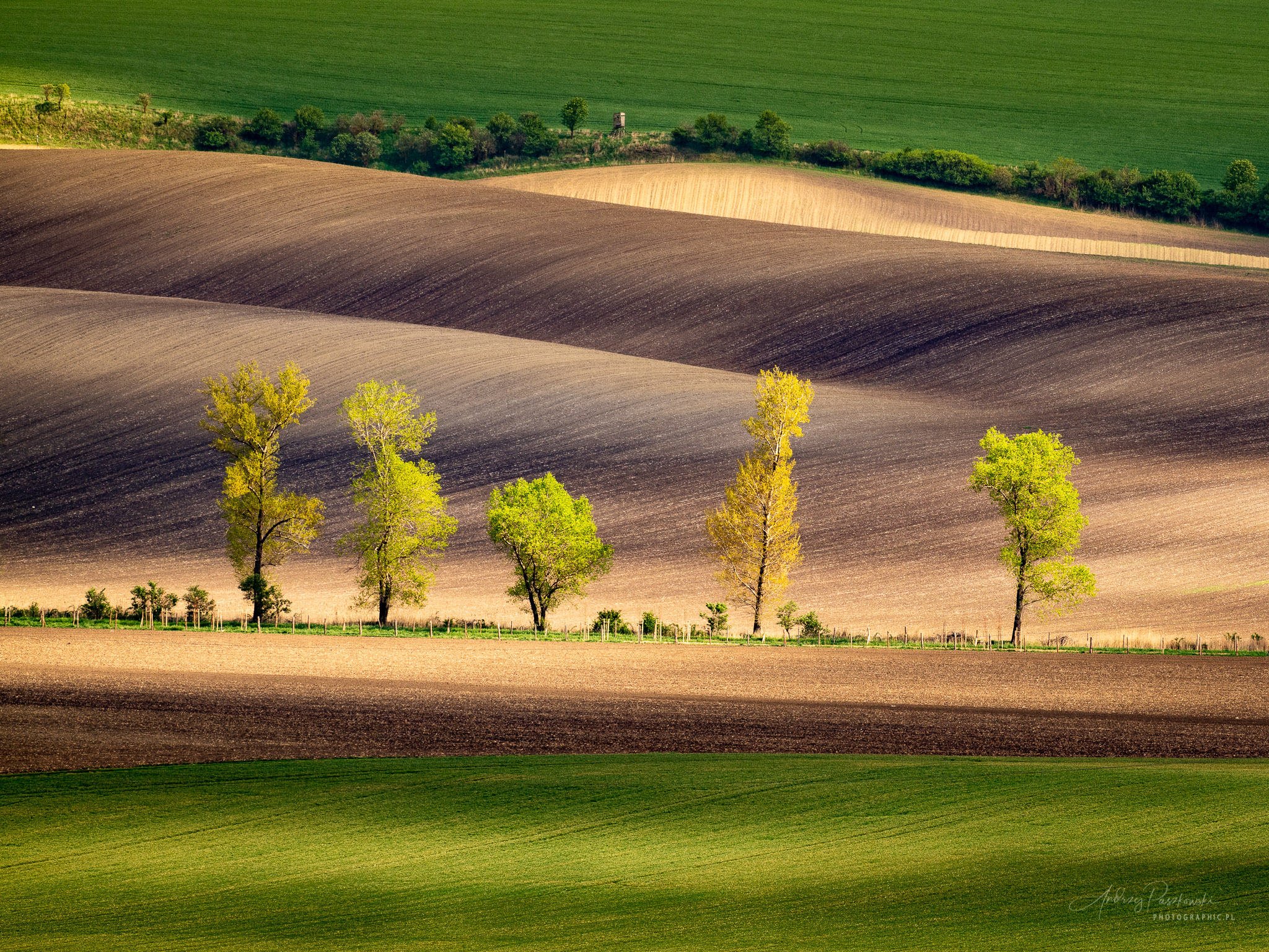 Fotografia krajobrazowa Morawy