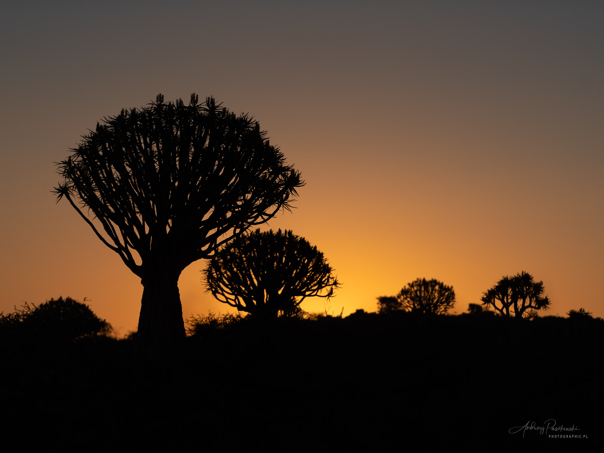 Fotografia podróżnicza Namibia