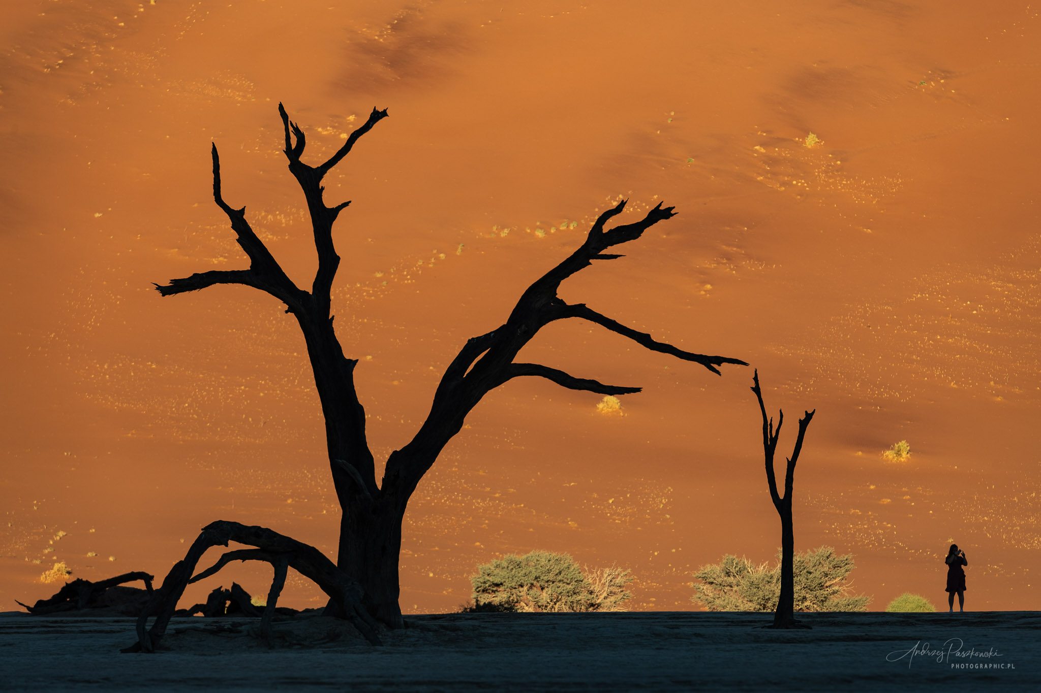 Fotografia podróżnicza Namibia