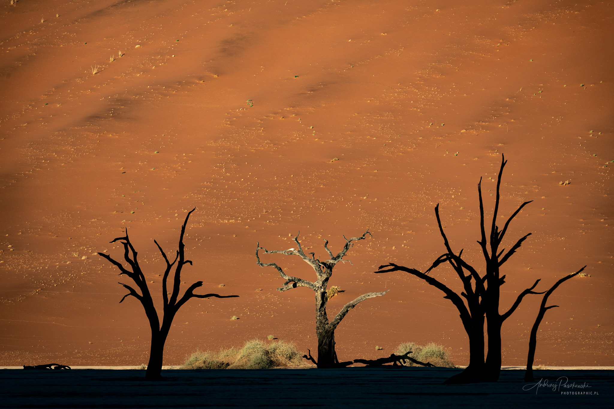 Fotografia podróżnicza Namibia