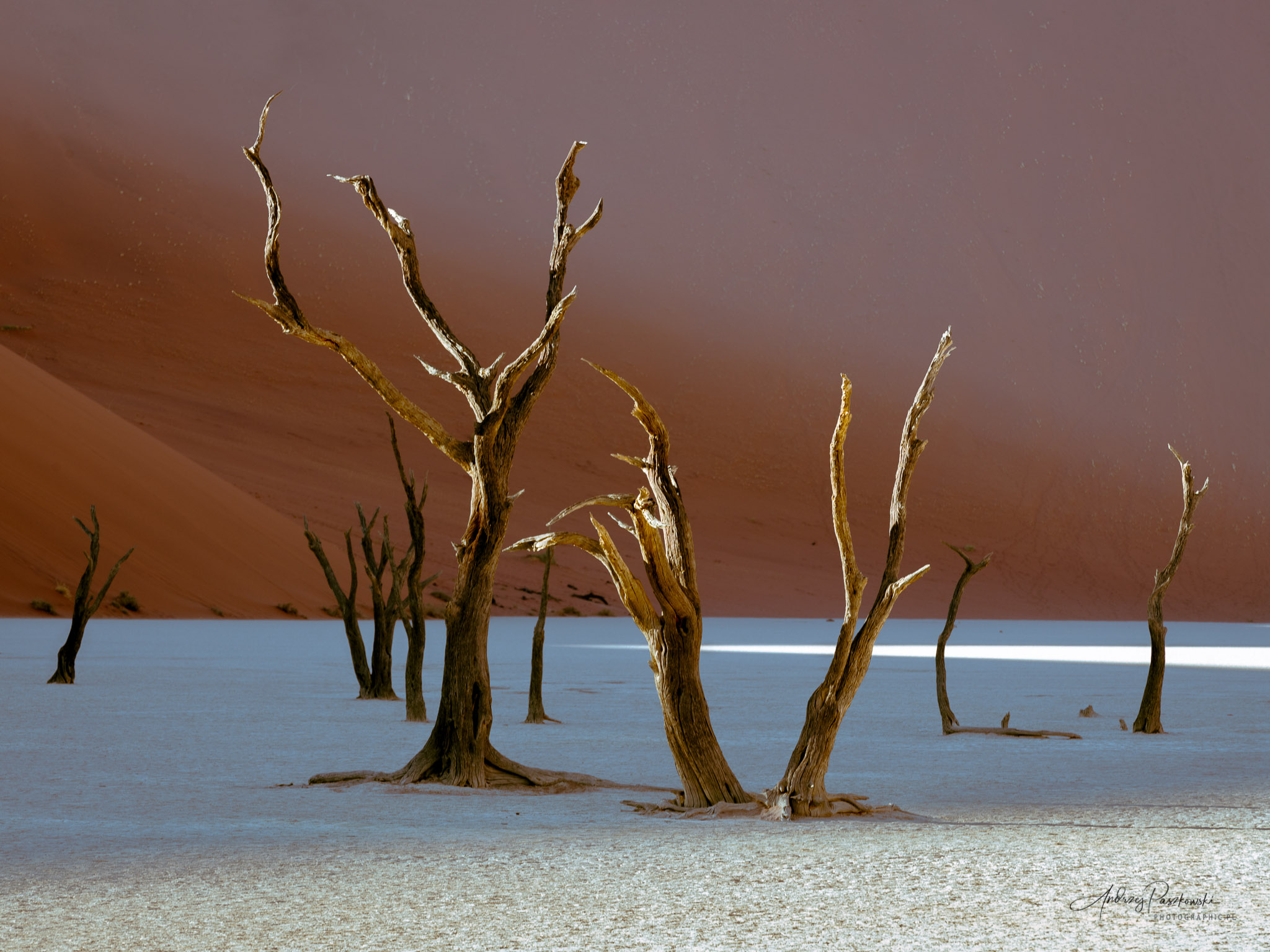 Fotografia podróżnicza Namibia
