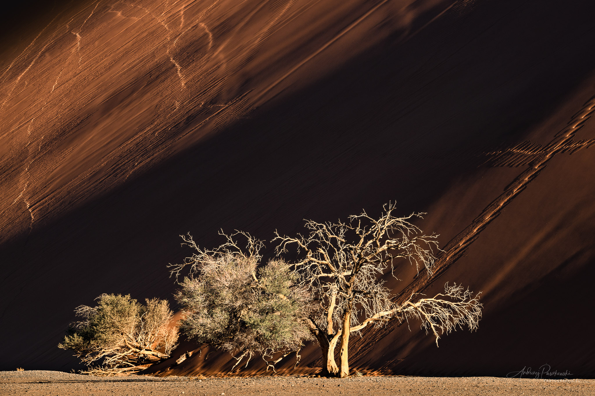 Fotografia podróżnicza Namibia