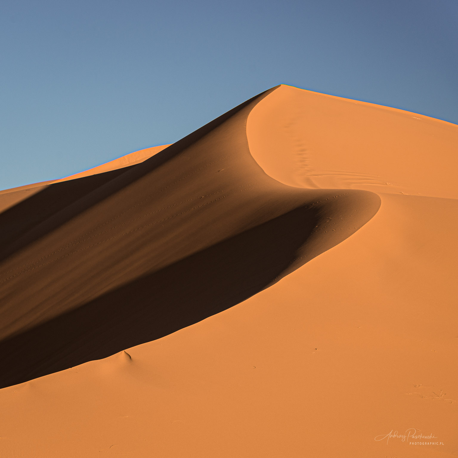 Merzouga desert